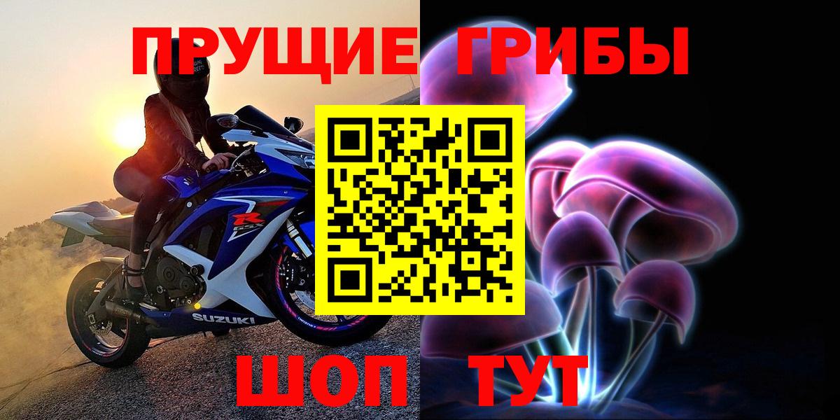 Киров  Псилоцибиновые грибы мицелий  Вход с VPN 